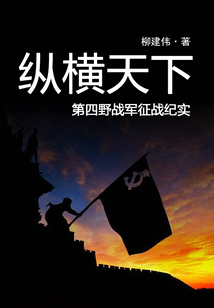 縱橫天下：第四野戰(zhàn)軍征戰(zhàn)紀(jì)實(shí)