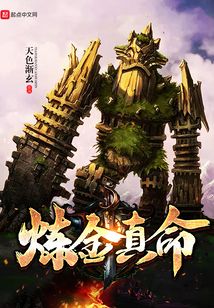炼金真命 cover