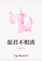 愿君不相離在線閱讀