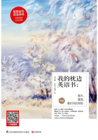 我的枕边英语书：看天，看雪，看时间的背影（升级版）在线阅读