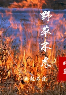 野草不盡