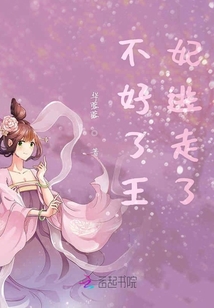 不好了王妃逃走了