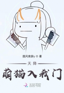 天降萌貓入我門