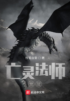 亡靈法師覺醒在線閱讀