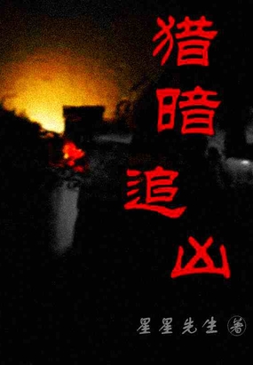 猎暗追凶在线阅读