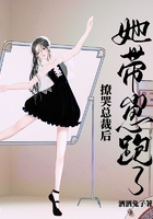 撩哭總裁后，她帶崽跑了在線閱讀