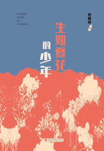 生如夏花的少年