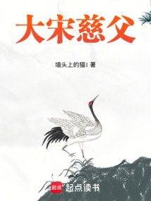 大宋慈父