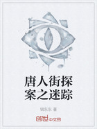 唐人街探案之迷蹤在線閱讀