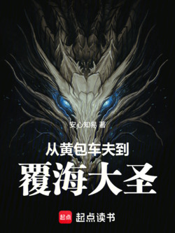 从黄包车夫到覆海大圣 封面