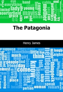 The Patagonia-巴塔哥尼亞 (英文原版)