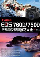 Canon EOS 760D/750D数码单反摄影技巧大全在线阅读