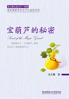 宝葫芦的秘密在线阅读