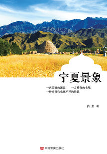 宁夏景象