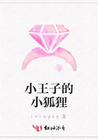 小王子的小狐狸