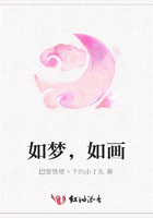 如夢(mèng)，如畫(huà)在線閱讀
