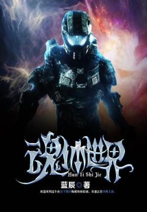 魂体世界 cover