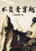 不負(fù)責(zé)穿越在線閱讀