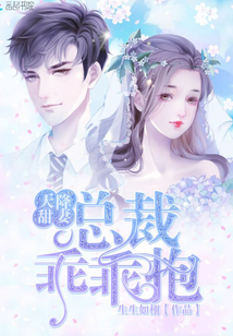 天降甜妻：總裁乖乖抱