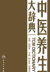 中醫(yī)養(yǎng)生大辭典