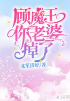 顾魔王你老婆掉了