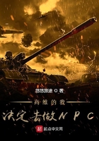 高維的我決定去做NPC在線閱讀