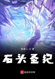 石頭圣紀