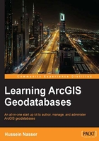 Learning ArcGIS Geodatabases