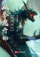 从拳愿开始莽穿诸天