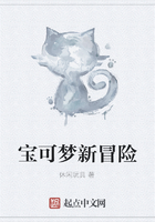 宝可梦新冒险
