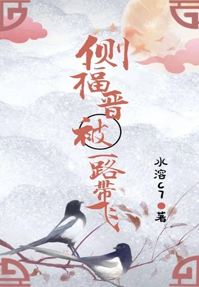 侧福晋被一路带飞在线阅读