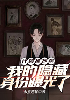 代碼被抄襲，我的隱藏身份曝光了在線閱讀