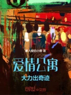 爱情公寓:大力出奇迹在线阅读