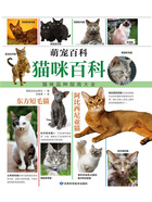 猫咪百科(萌宠百科)在线阅读