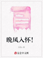 晚风入怀!在线阅读