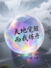 天地覺(jué)醒，而我煉丹