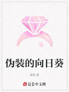 伪装的向日葵在线阅读