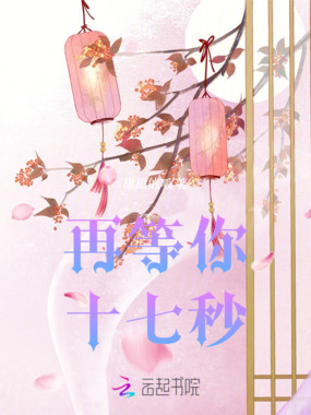 再等你十七秒在线阅读
