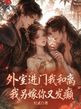 外室进门我和离,我另嫁你又发癫在线阅读