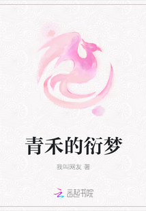 青禾的衍梦