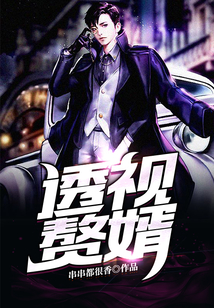 透視贅婿