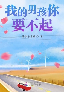 我的男孩你要不起