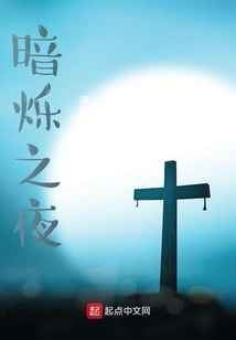 暗爍之夜