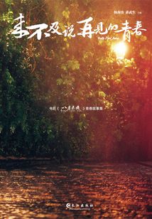 來不及說再見的青春