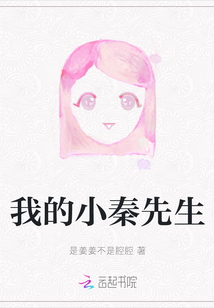 我的小秦先生
