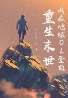 老老实实码字在线阅读