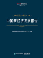 中国新经济发展报告2023—2024