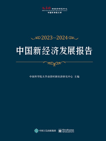 中國新經濟發展報告2023—2024