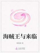 海贼王与来临在线阅读