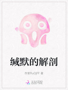 缄默的解剖在线阅读